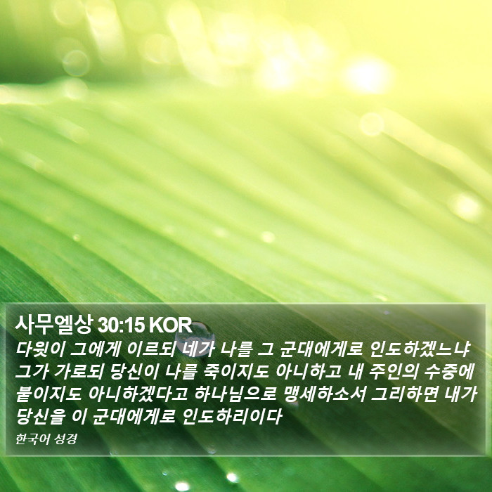 사무엘상 30:15 KOR Bible Study