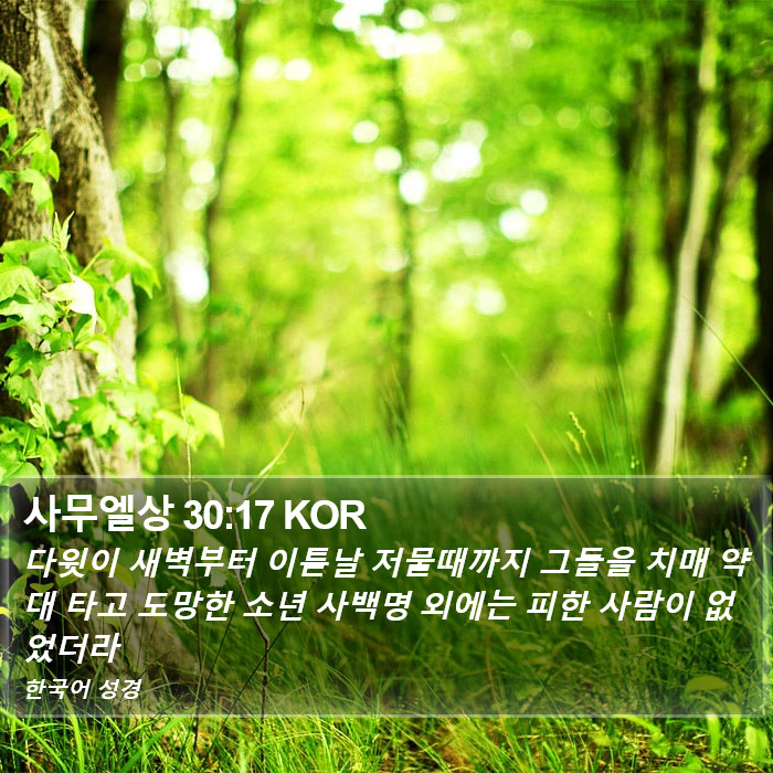 사무엘상 30:17 KOR Bible Study