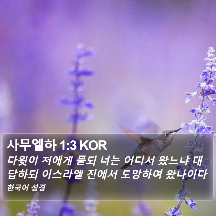 사무엘하 1:3 KOR Bible Study