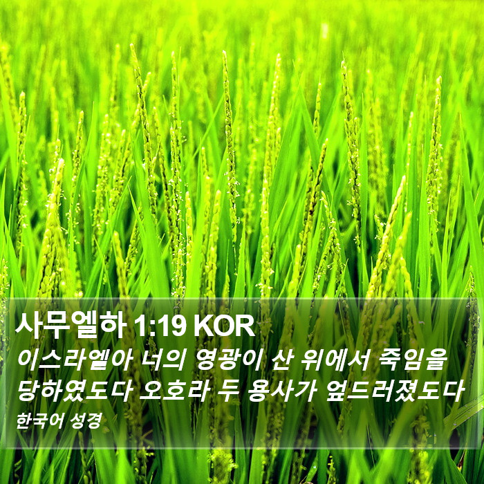 사무엘하 1:19 KOR Bible Study