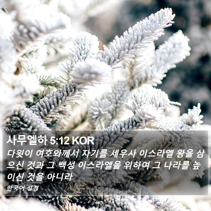 사무엘하 5:12 KOR Bible Study