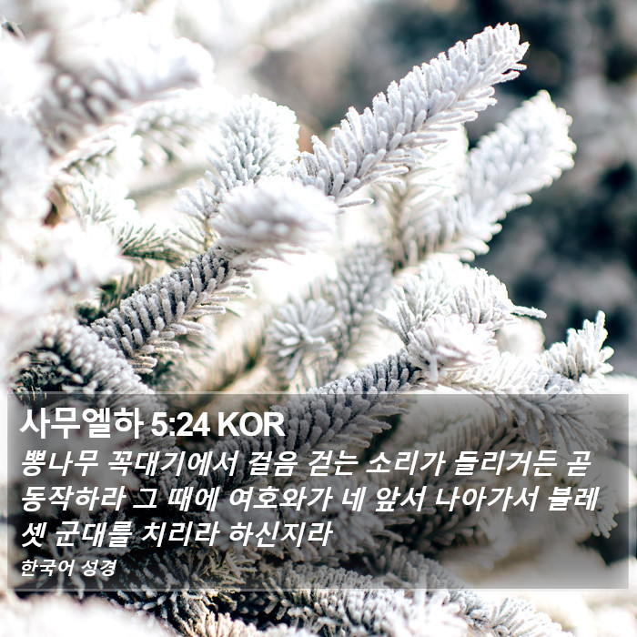 사무엘하 5:24 KOR Bible Study