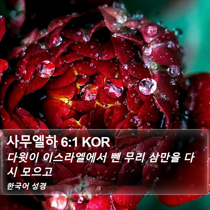 사무엘하 6:1 KOR Bible Study