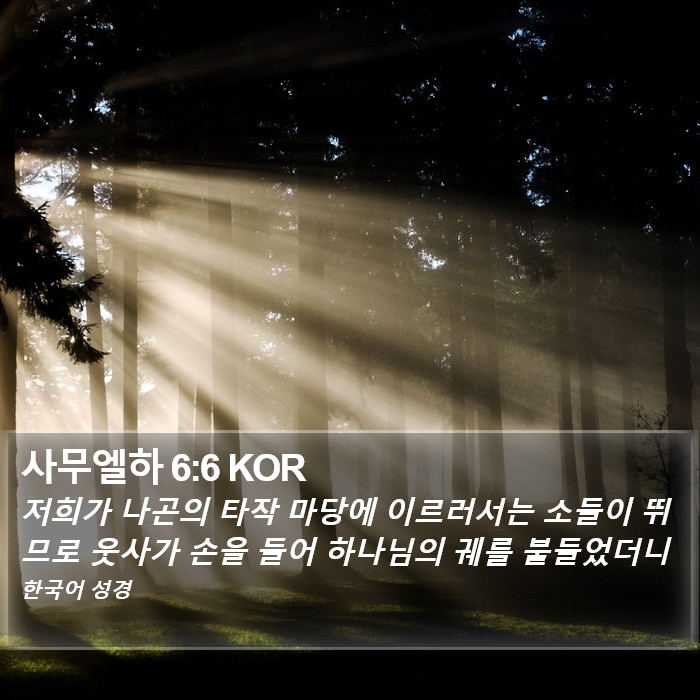 사무엘하 6:6 KOR Bible Study