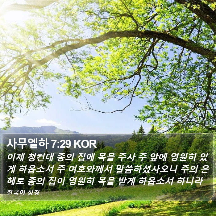 사무엘하 7:29 KOR Bible Study