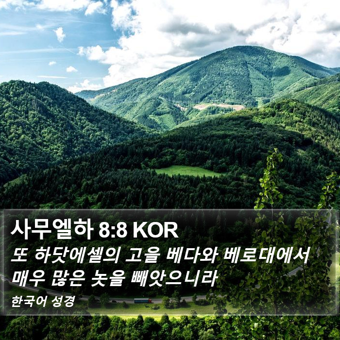 사무엘하 8:8 KOR Bible Study