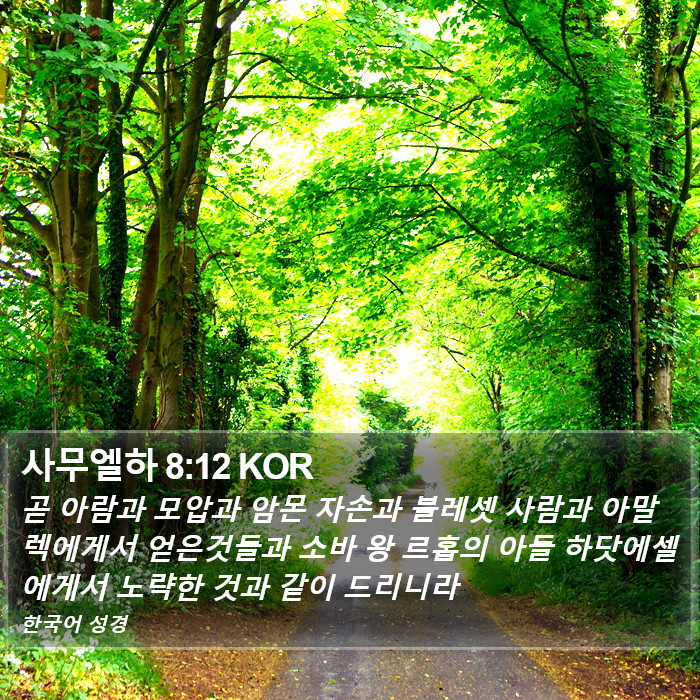 사무엘하 8:12 KOR Bible Study