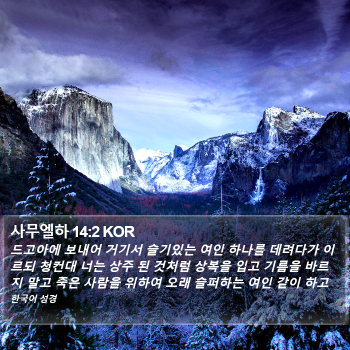 사무엘하 14:2 KOR Bible Study