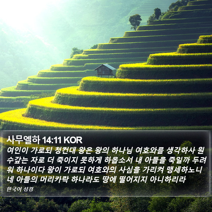 사무엘하 14:11 KOR Bible Study