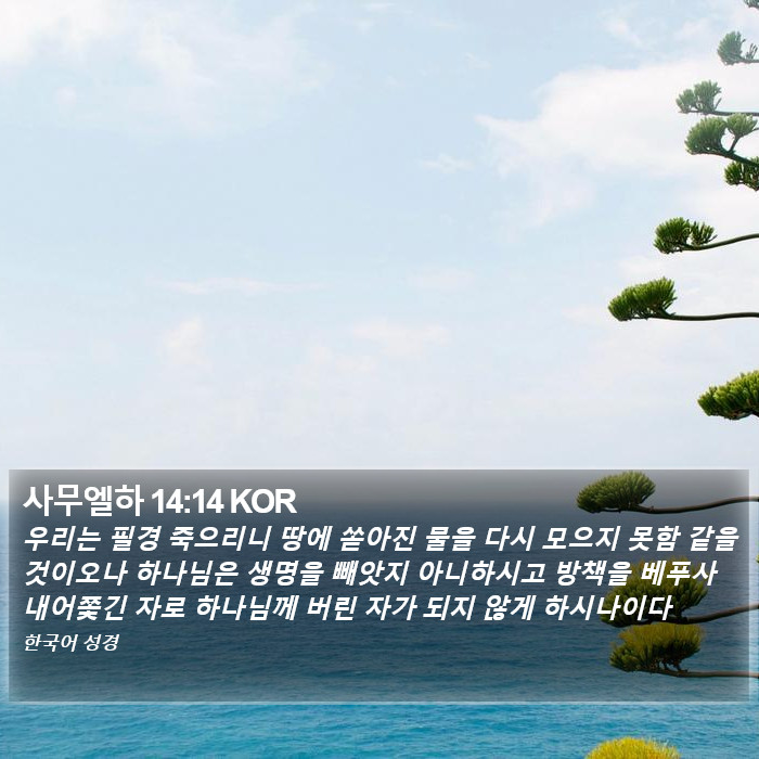 사무엘하 14:14 KOR Bible Study