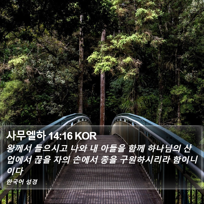 사무엘하 14:16 KOR Bible Study