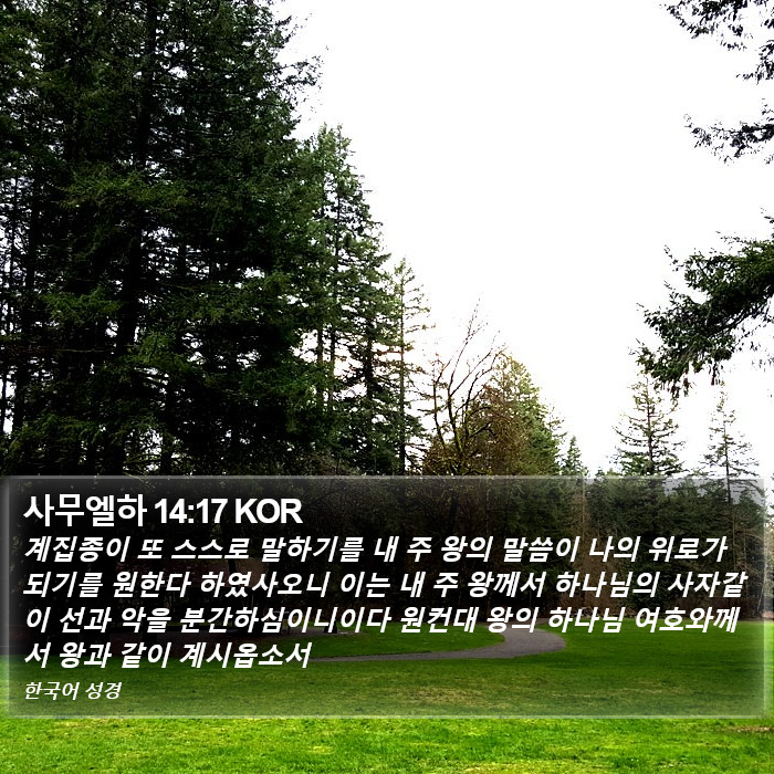 사무엘하 14:17 KOR Bible Study