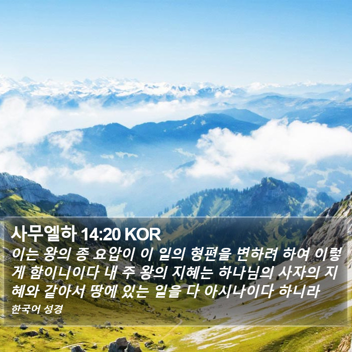 사무엘하 14:20 KOR Bible Study