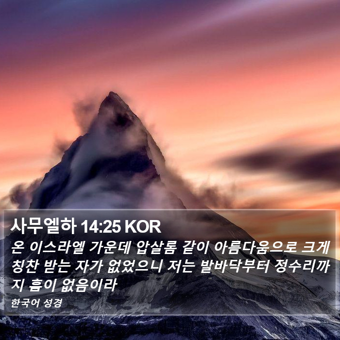 사무엘하 14:25 KOR Bible Study