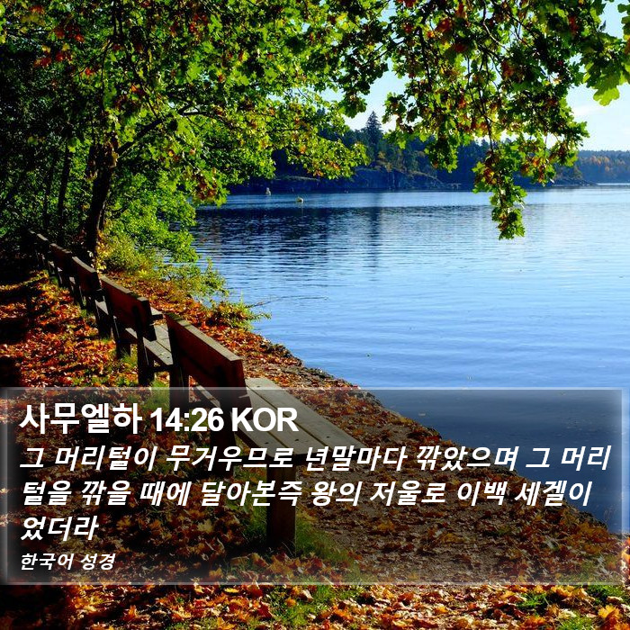 사무엘하 14:26 KOR Bible Study