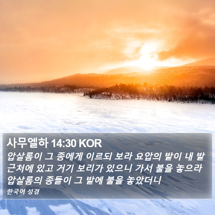 사무엘하 14:30 KOR Bible Study