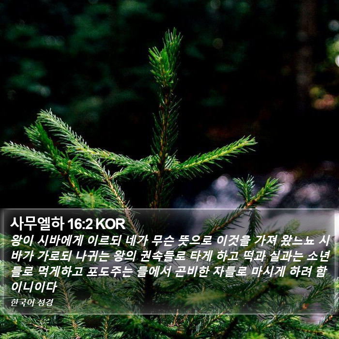 사무엘하 16:2 KOR Bible Study