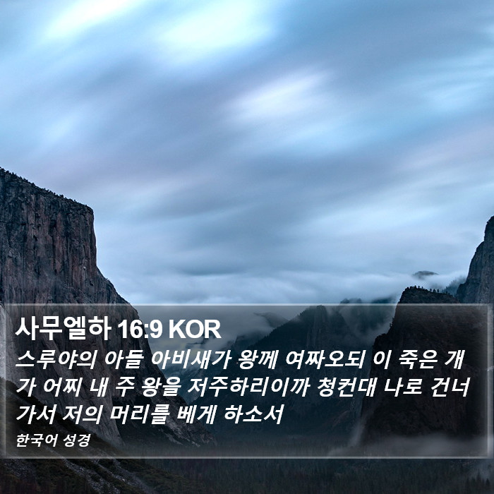 사무엘하 16:9 KOR Bible Study