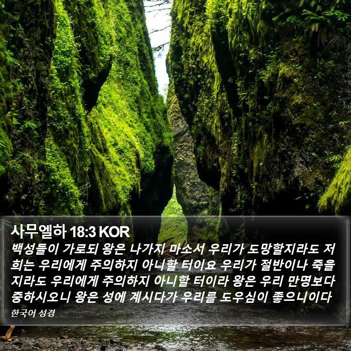 사무엘하 18:3 KOR Bible Study