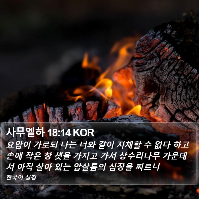사무엘하 18:14 KOR Bible Study