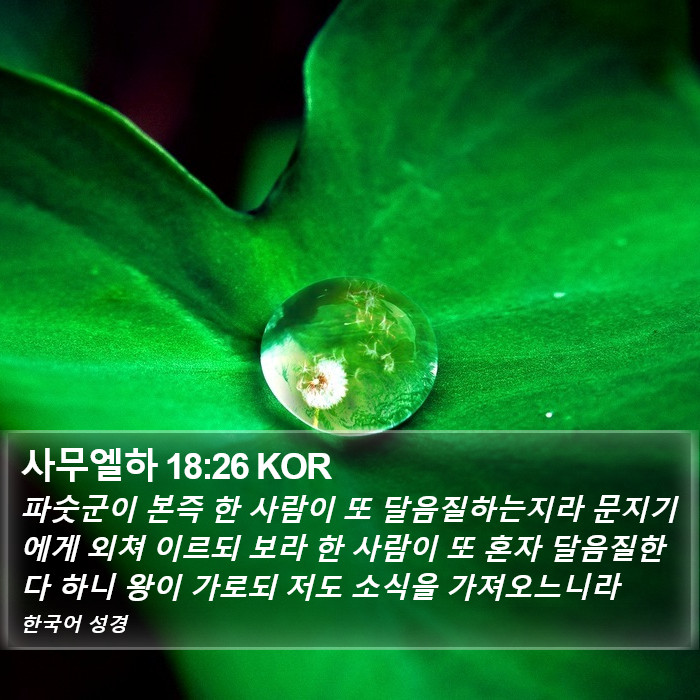 사무엘하 18:26 KOR Bible Study