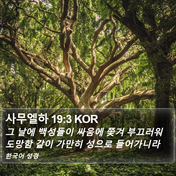 사무엘하 19:3 KOR Bible Study