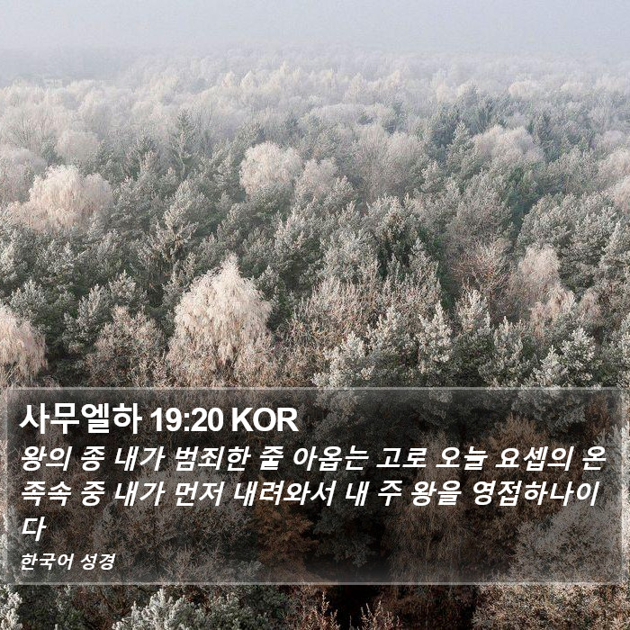 사무엘하 19:20 KOR Bible Study