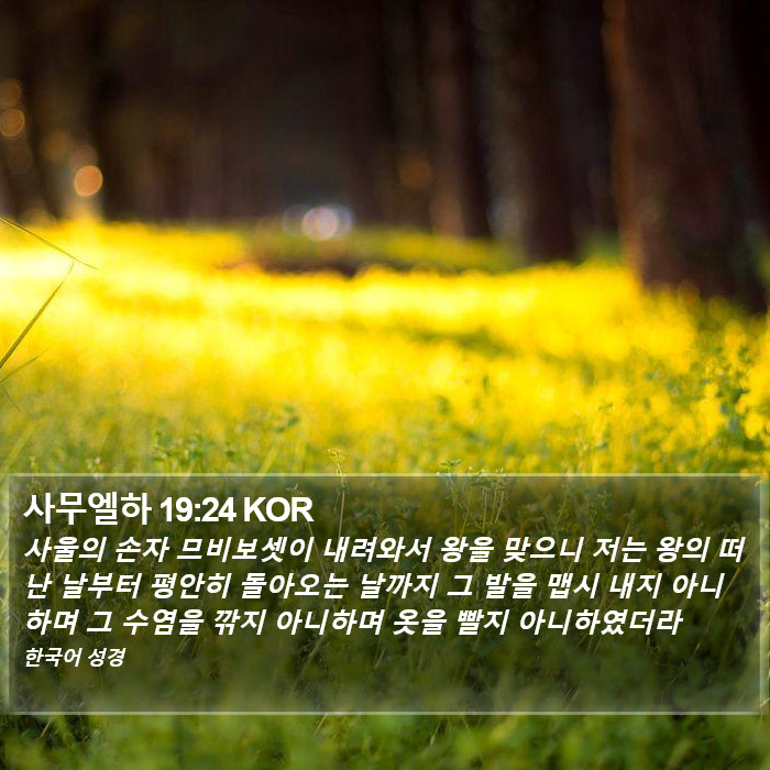 사무엘하 19:24 KOR Bible Study