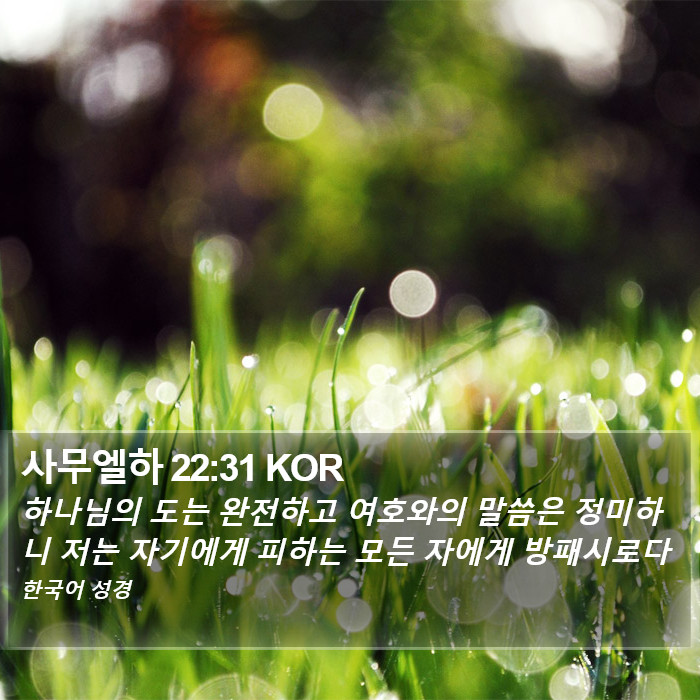 사무엘하 22:31 KOR Bible Study