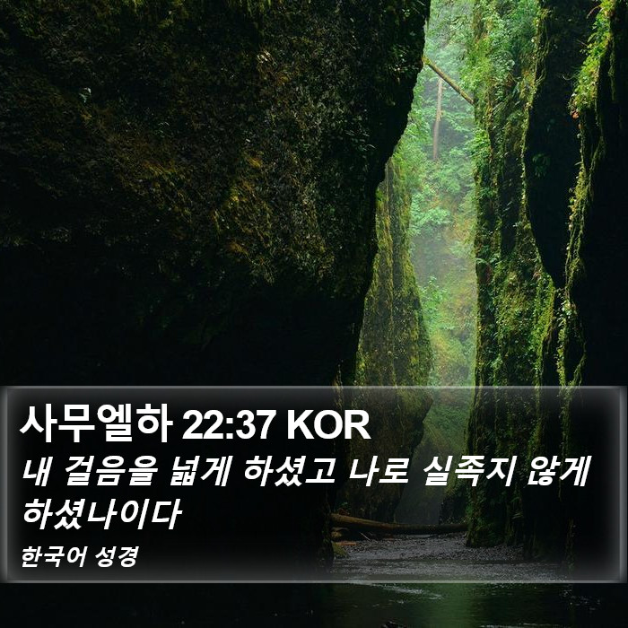 사무엘하 22:37 KOR Bible Study