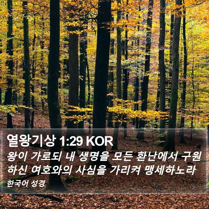 열왕기상 1:29 KOR Bible Study