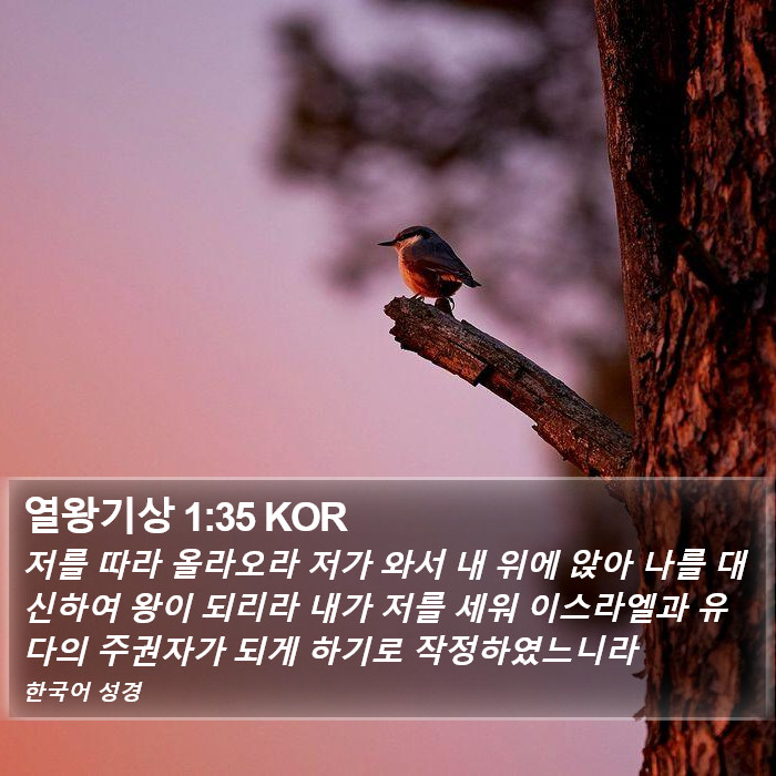 열왕기상 1:35 KOR Bible Study