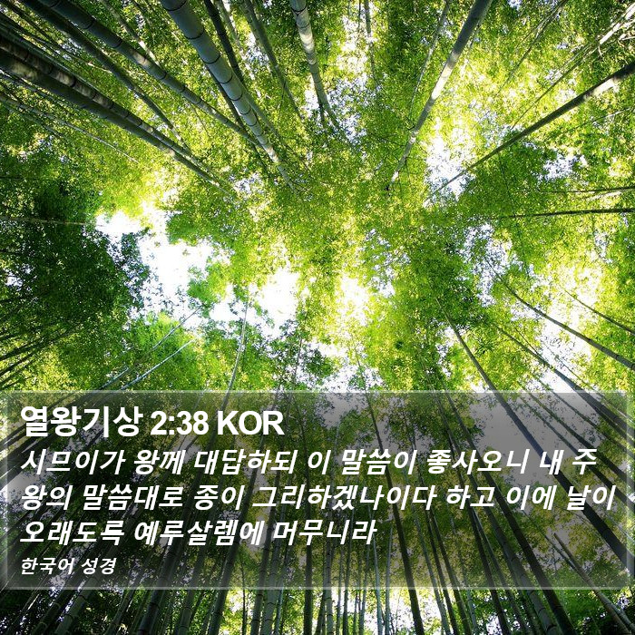 열왕기상 2:38 KOR Bible Study