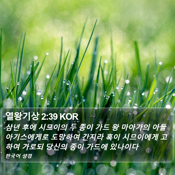 열왕기상 2:39 KOR Bible Study