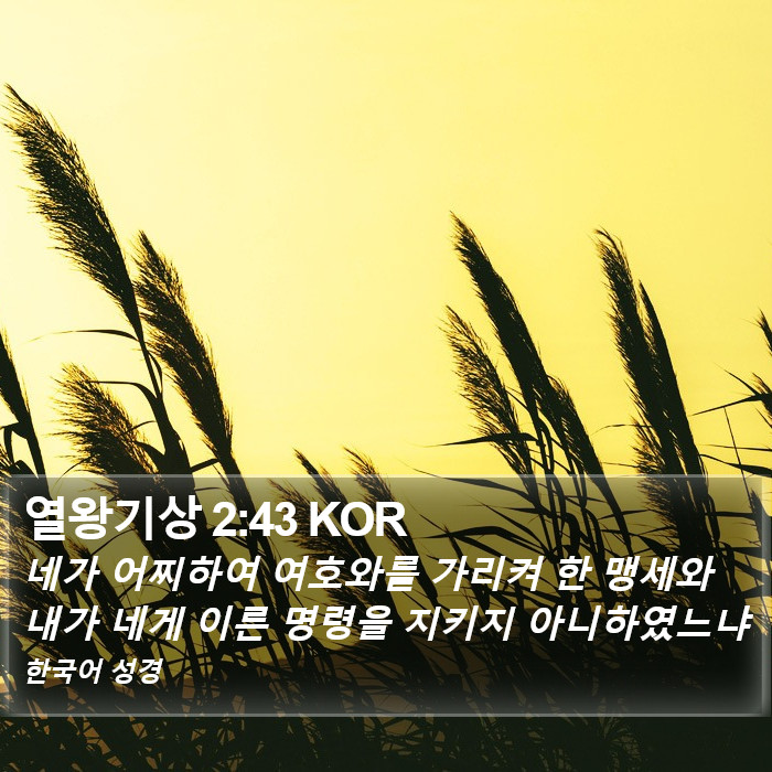 열왕기상 2:43 KOR Bible Study