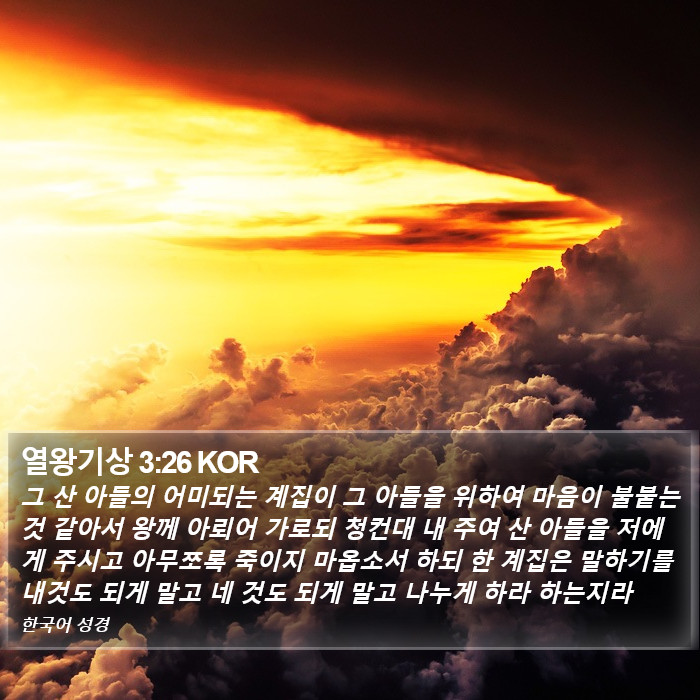열왕기상 3:26 KOR Bible Study
