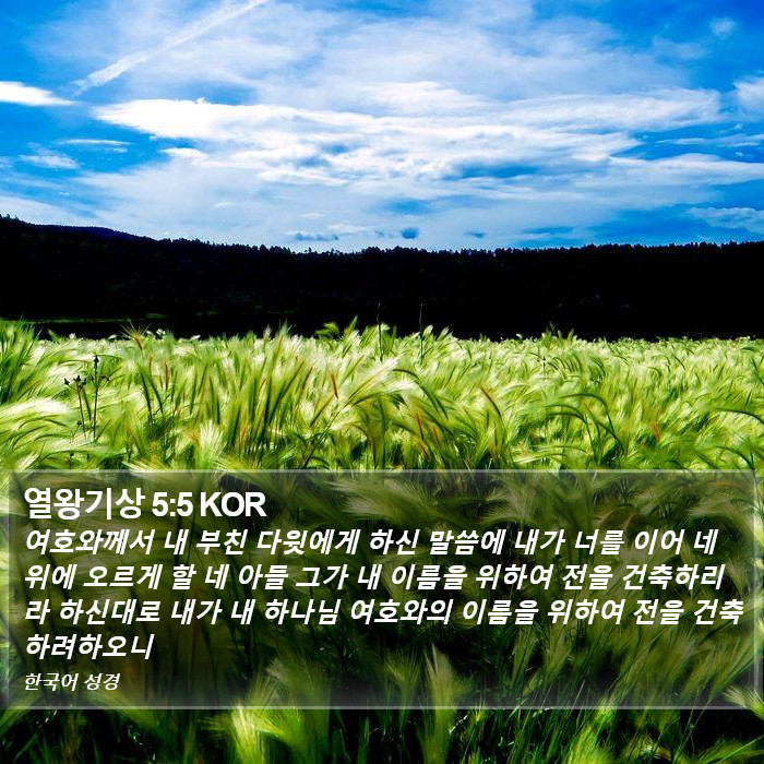 열왕기상 5:5 KOR Bible Study