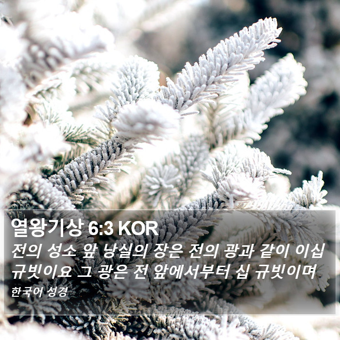 열왕기상 6:3 KOR Bible Study