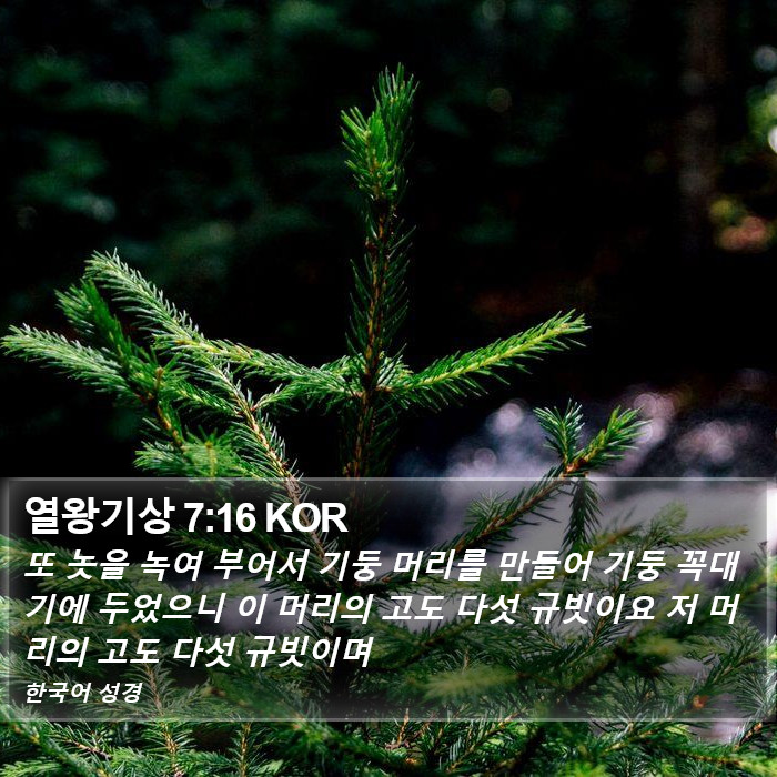 열왕기상 7:16 KOR Bible Study