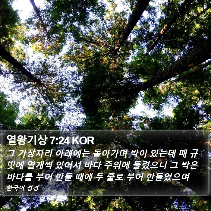 열왕기상 7:24 KOR Bible Study