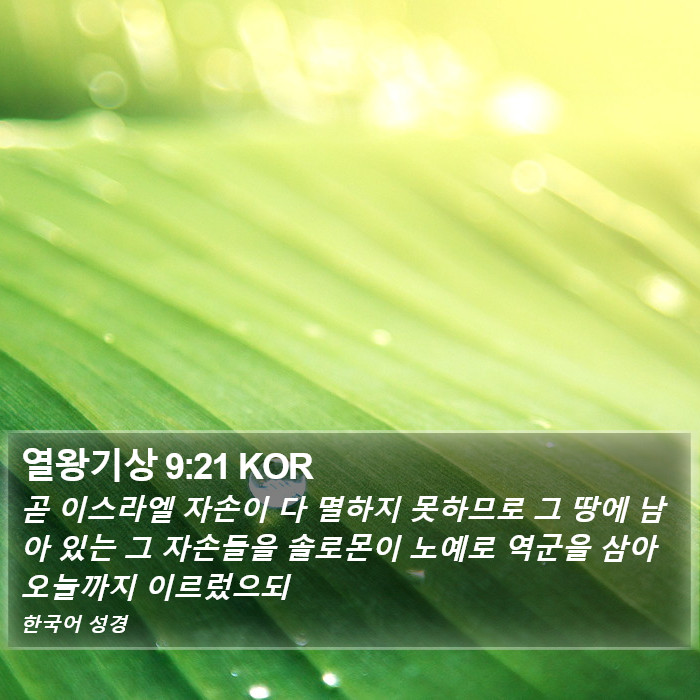 열왕기상 9:21 KOR Bible Study