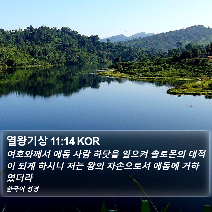 열왕기상 11:14 KOR Bible Study