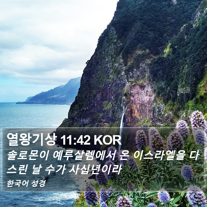 열왕기상 11:42 KOR Bible Study