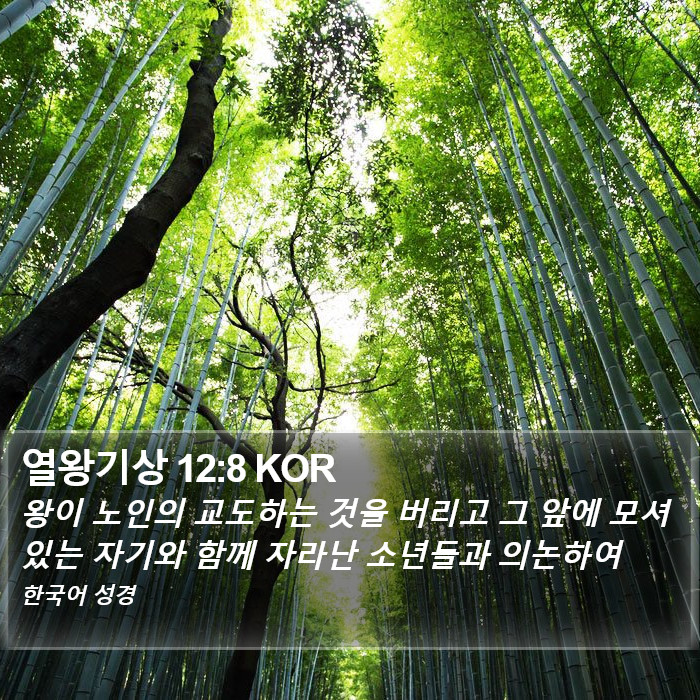 열왕기상 12:8 KOR Bible Study