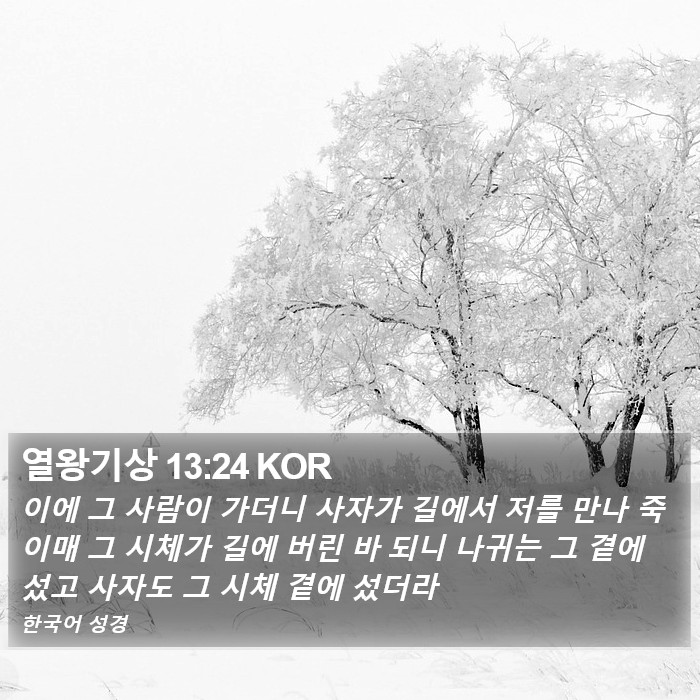 열왕기상 13:24 KOR Bible Study