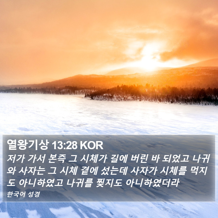 열왕기상 13:28 KOR Bible Study