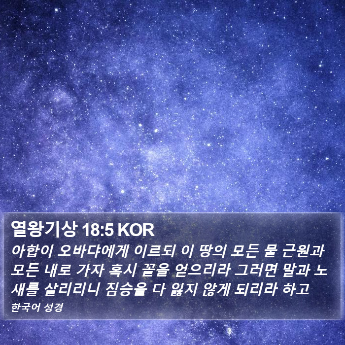 열왕기상 18:5 KOR Bible Study