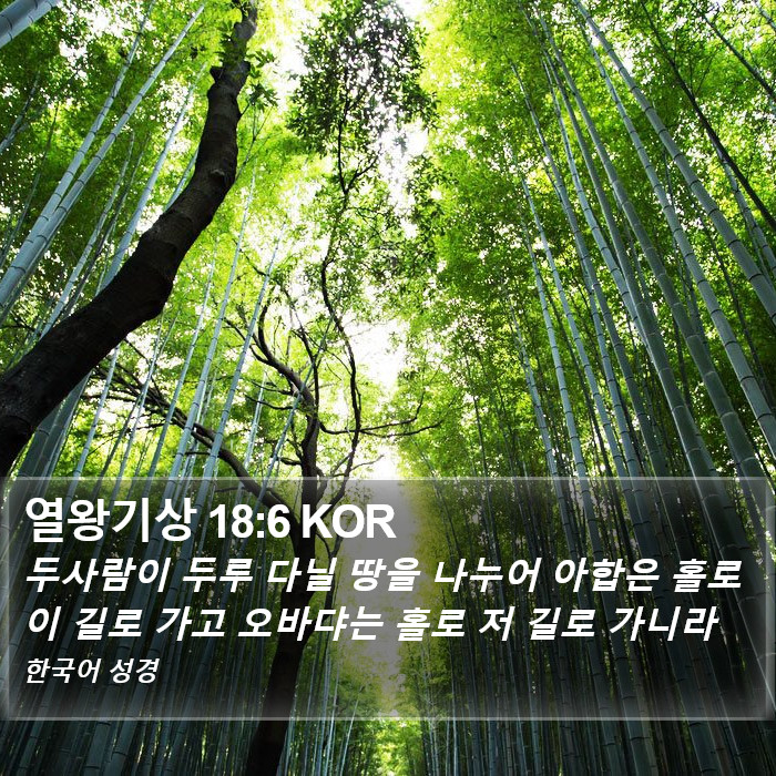 열왕기상 18:6 KOR Bible Study