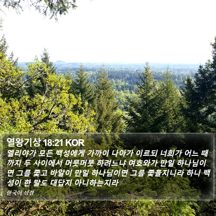 열왕기상 18:21 KOR Bible Study