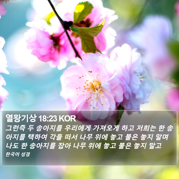 열왕기상 18:23 KOR Bible Study